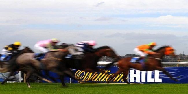 William Hill will go further with merger talks with Amaya