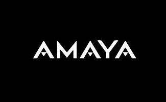 Amaya Inc Poker Revenue dropped in 2016, while its casino did well